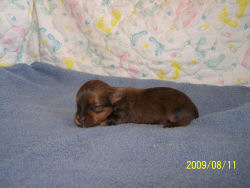 click here to see me grow