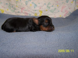 click here to see me grow