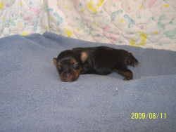 click here to see me grow