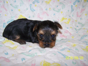 click here to see me grow
