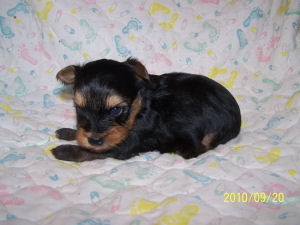 click here to see me grow
